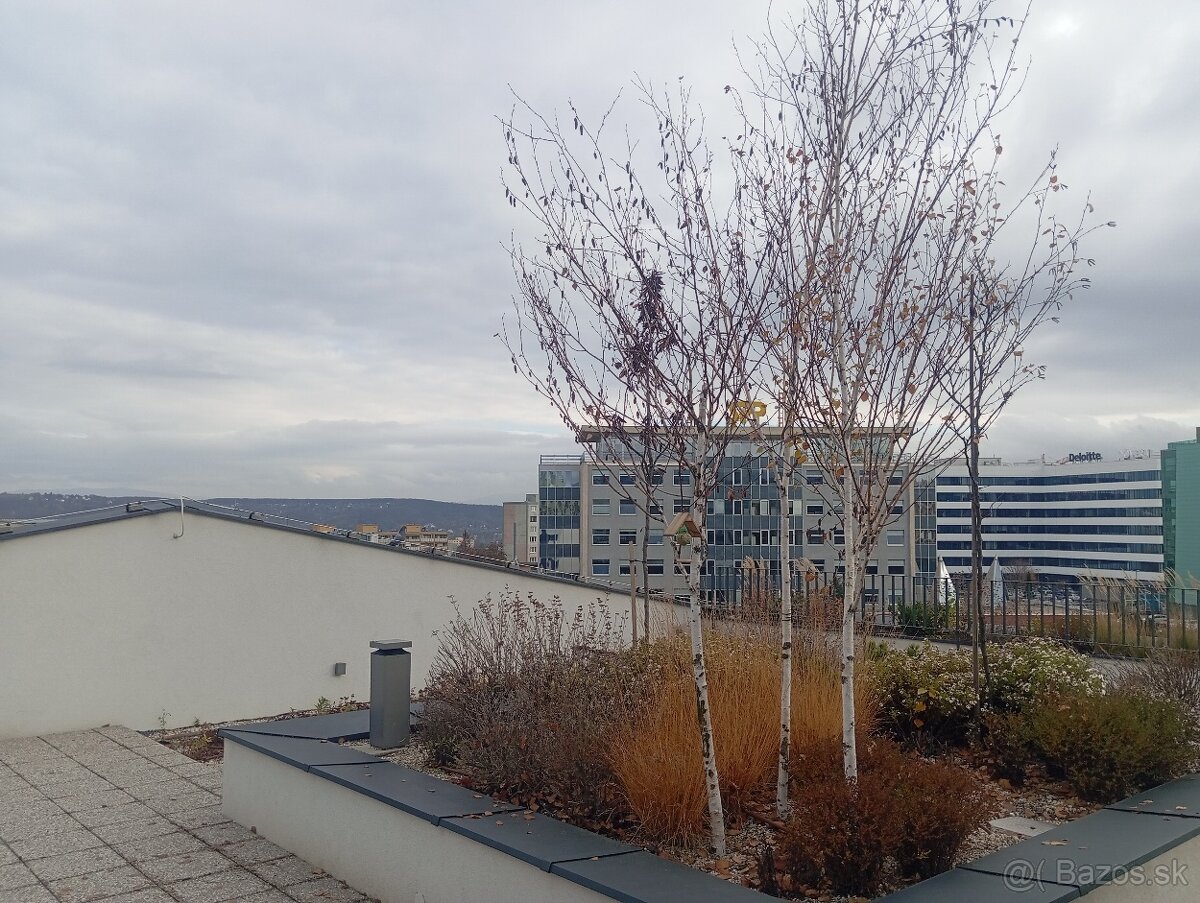 PRENÁJOM: 1-iz. byt, Moldavská - novostavba - centrum - 7