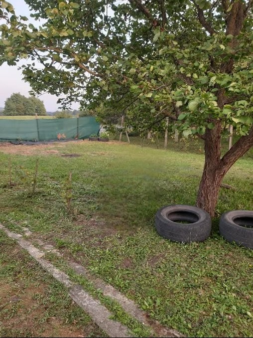 Predám záhradku v osobnom vlastníctve - 7