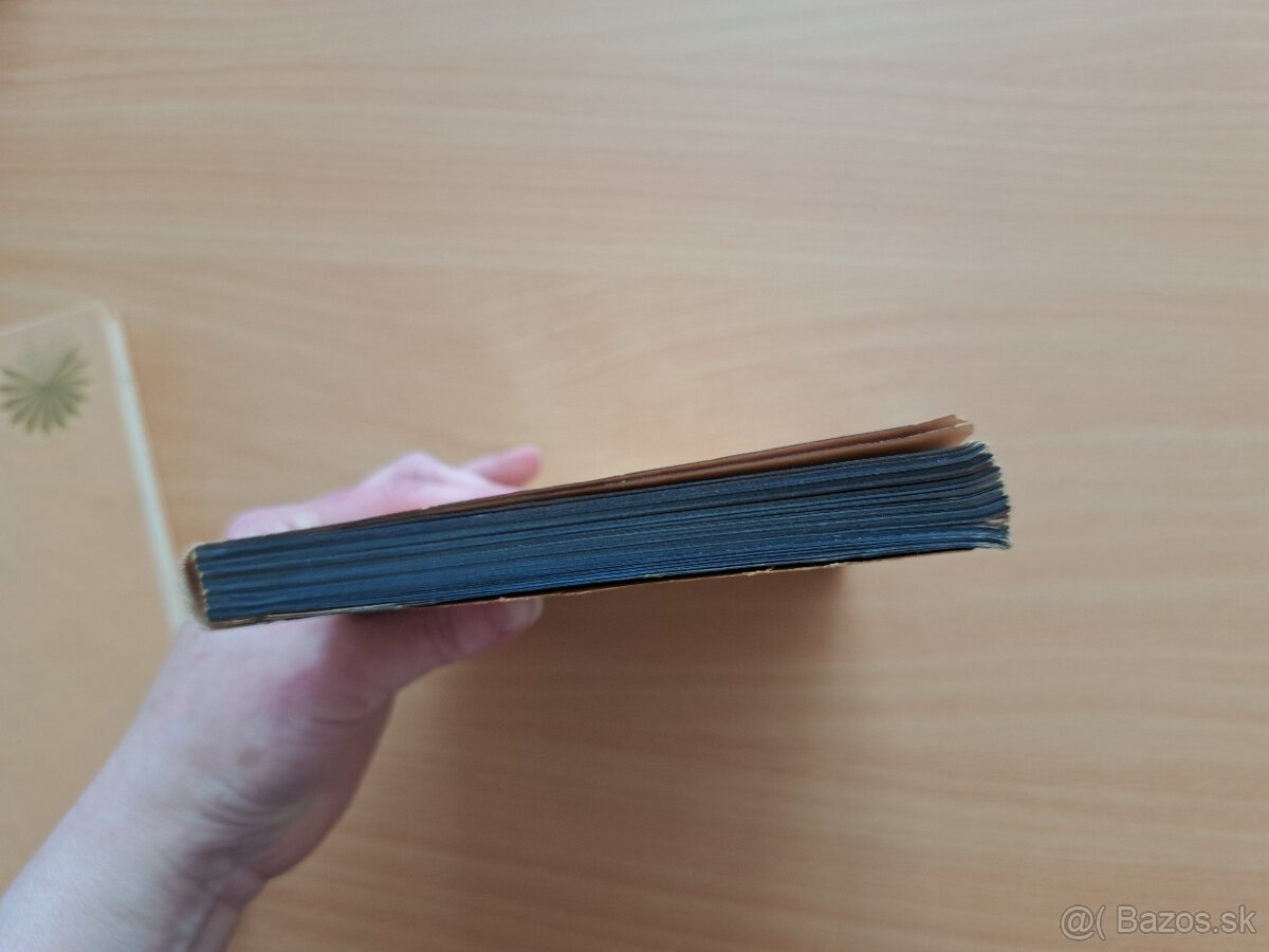 Vladimír Roy: Rosou a tŕnim - 7