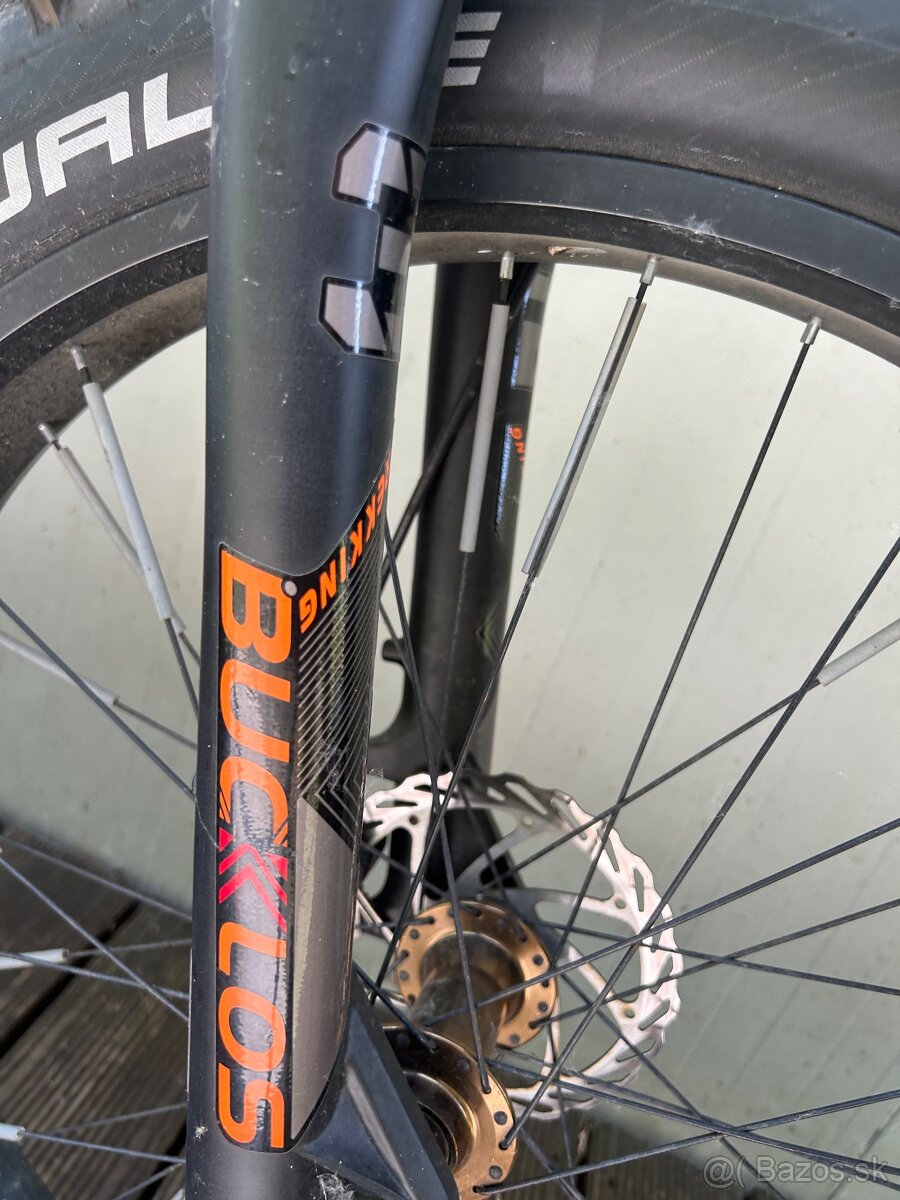 Fat-Bike - 7