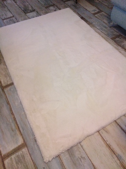 Tepovanie, Upratovanie, SABINOV, PREŠOV, BARDEJOV, LEVOČA. - - 7