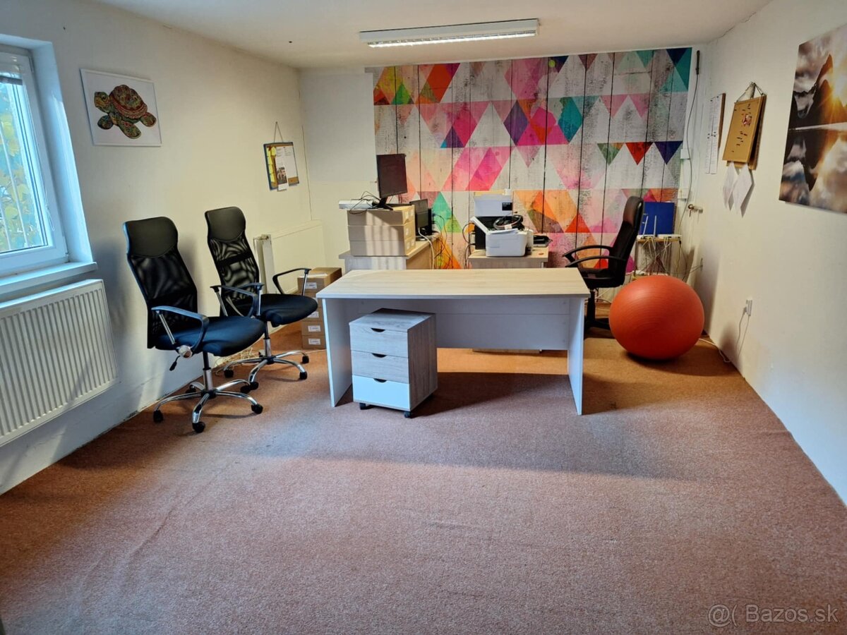 Prenájom priestorov pre sklad, obchod alebo malú výrobu - 7