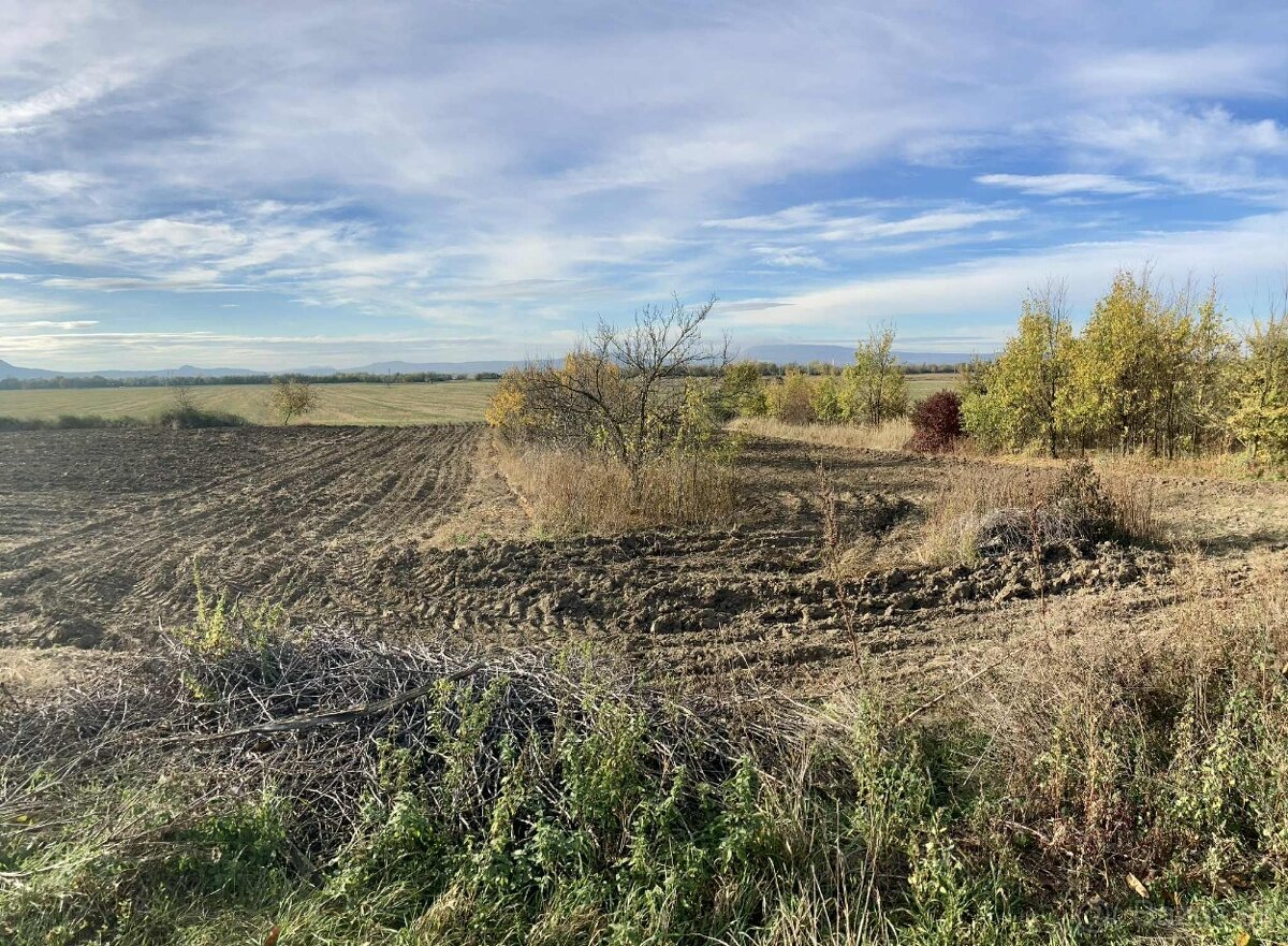 Vinica s chatkou – Hegyfarok, Kamenný Most – predaj/výmena - 7