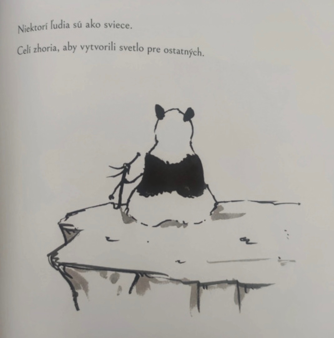 Veľká panda a malý drak; Cesta múdrej mačky - James Norsbury - 7