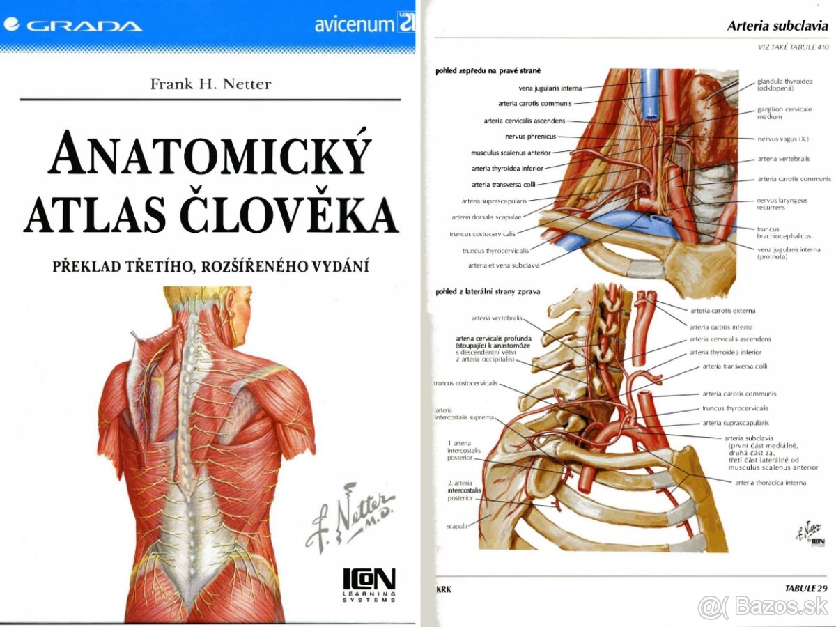 ANATÓMIA - knihy v PDF - 7