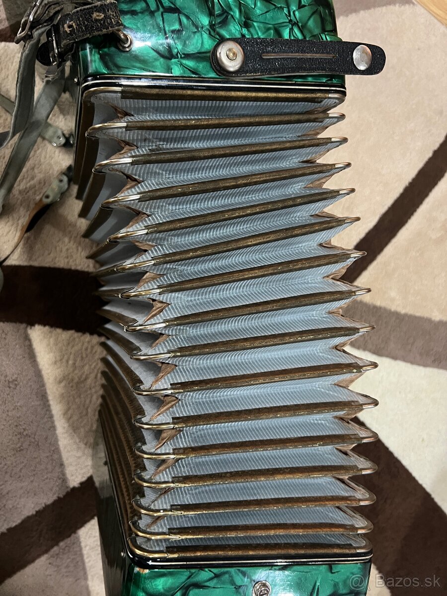 Harmonika-akordeón Lignatone - 7