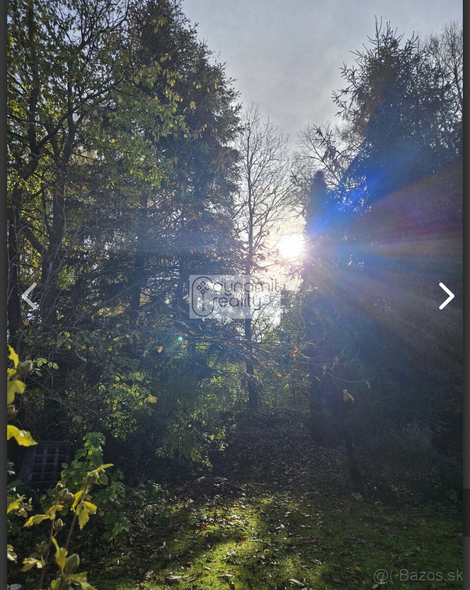 Rodinný dom / chata so 4683 m² pozemkom a kúskom lesa - 7