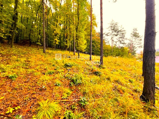 Chatárčenie pekný pozemok v nádhernej prírode na Drienici (F - 7