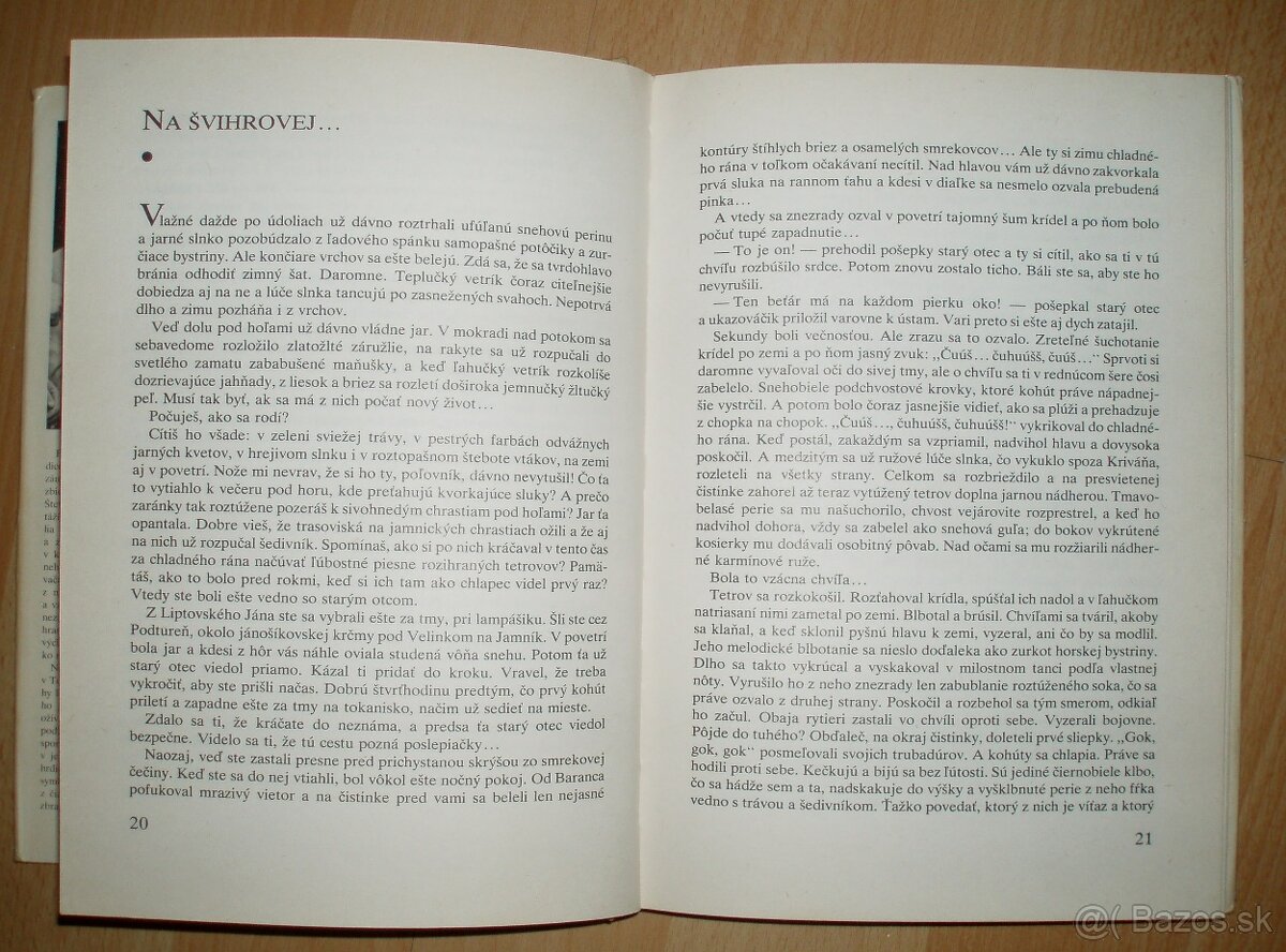 Trofej neznámeho strelca - 7