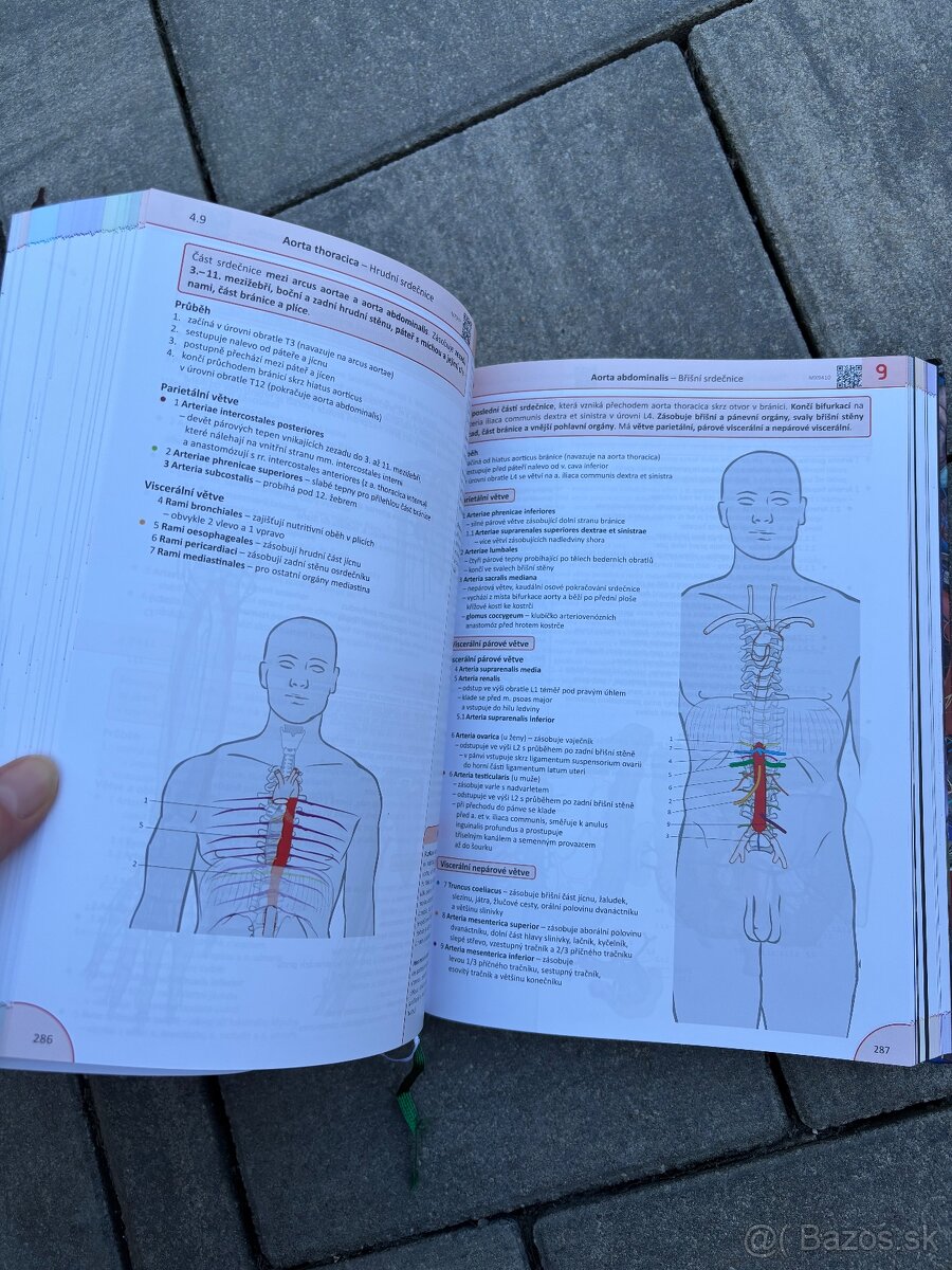 Memorix anatomie 6.vydanie - 7