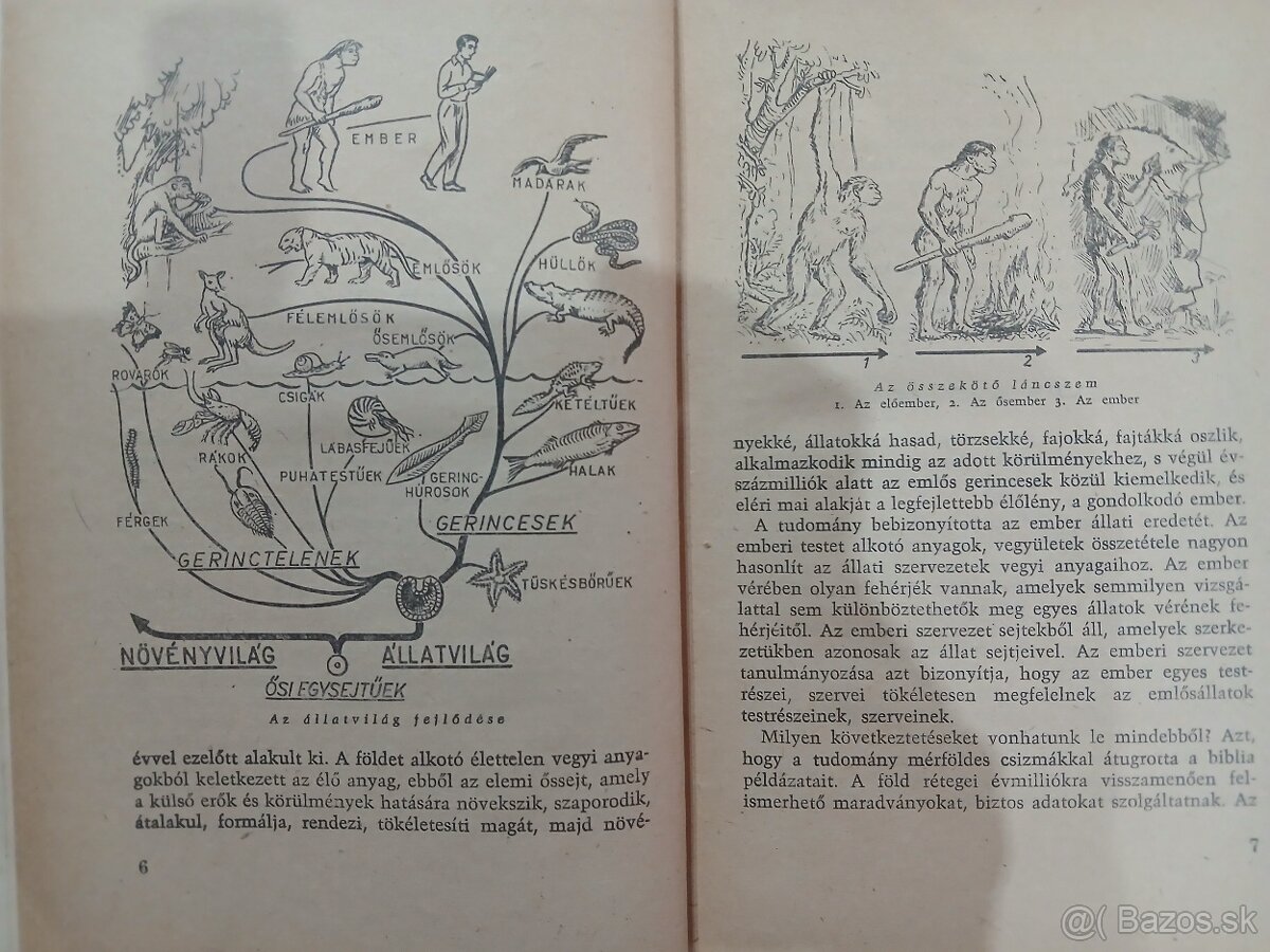 Knihy v maďarskom jazyku - 7