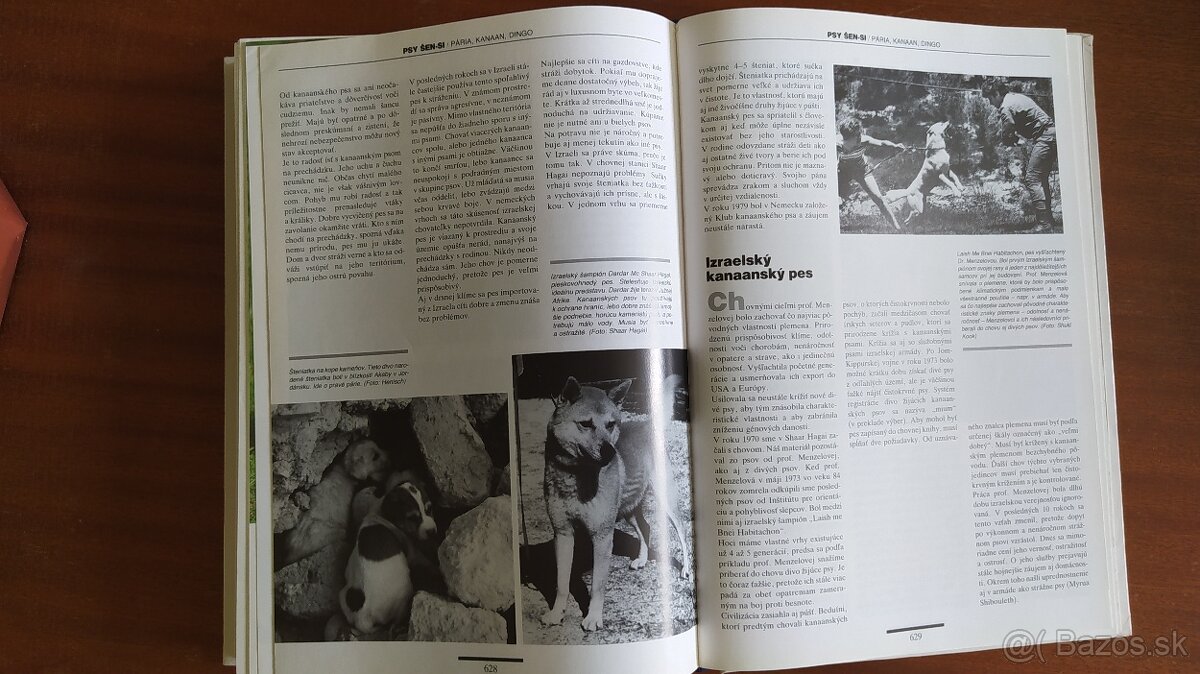 encyklopedia plemena psov 1.diel - 7