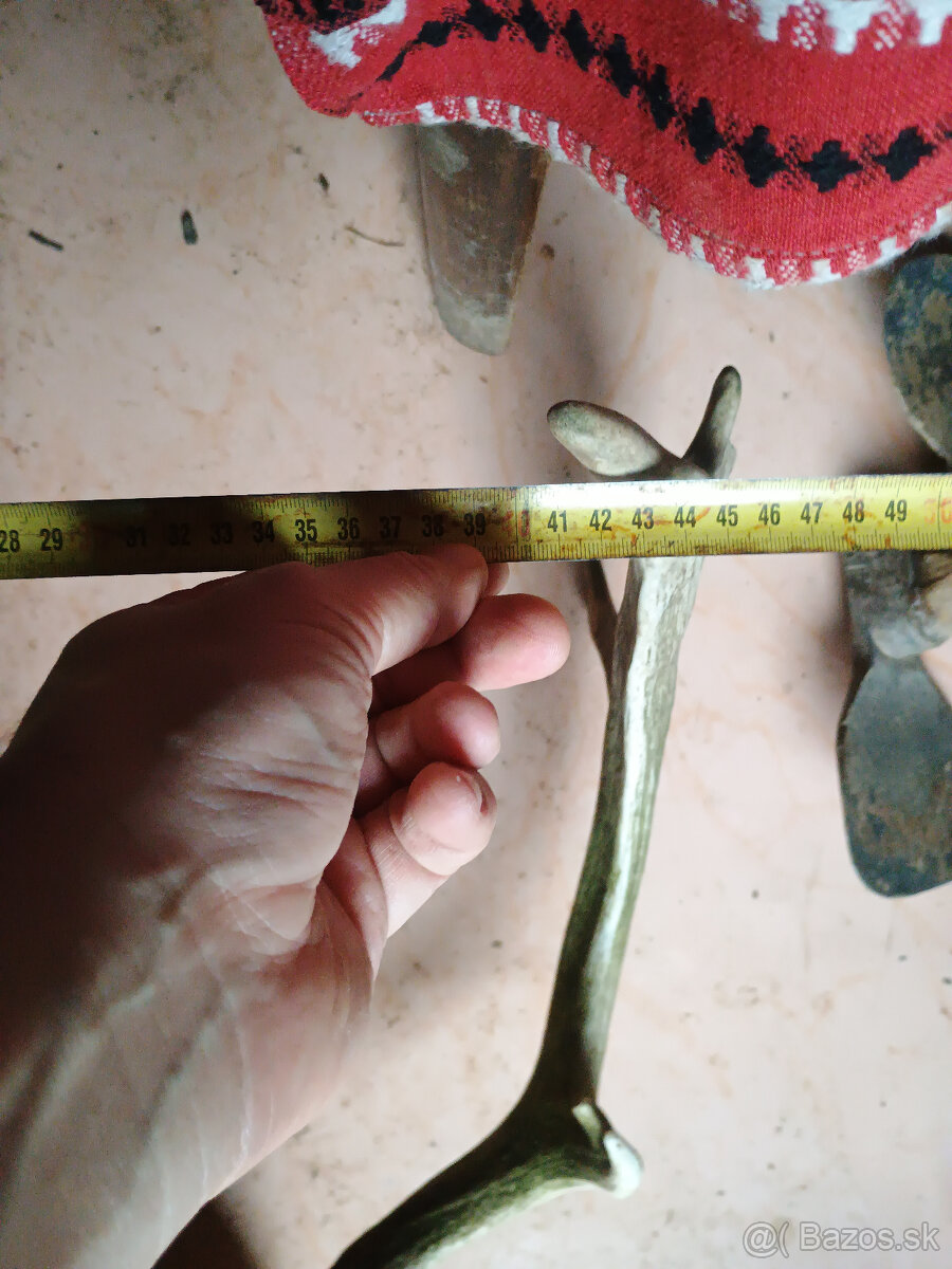 Parohy, zhody, trofej - aj výmena za včelársku literatúru - 7