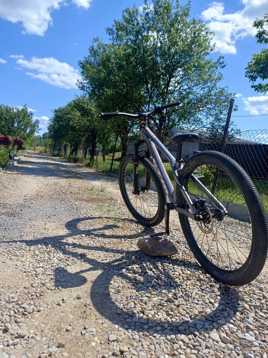 Ctm dirtking - 7