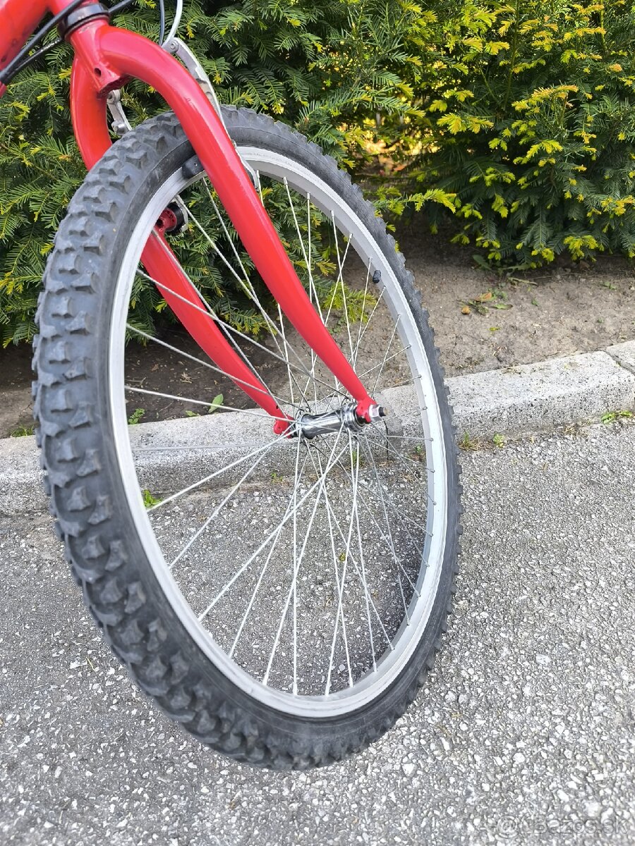 Pánsky bicykel Dema - 7