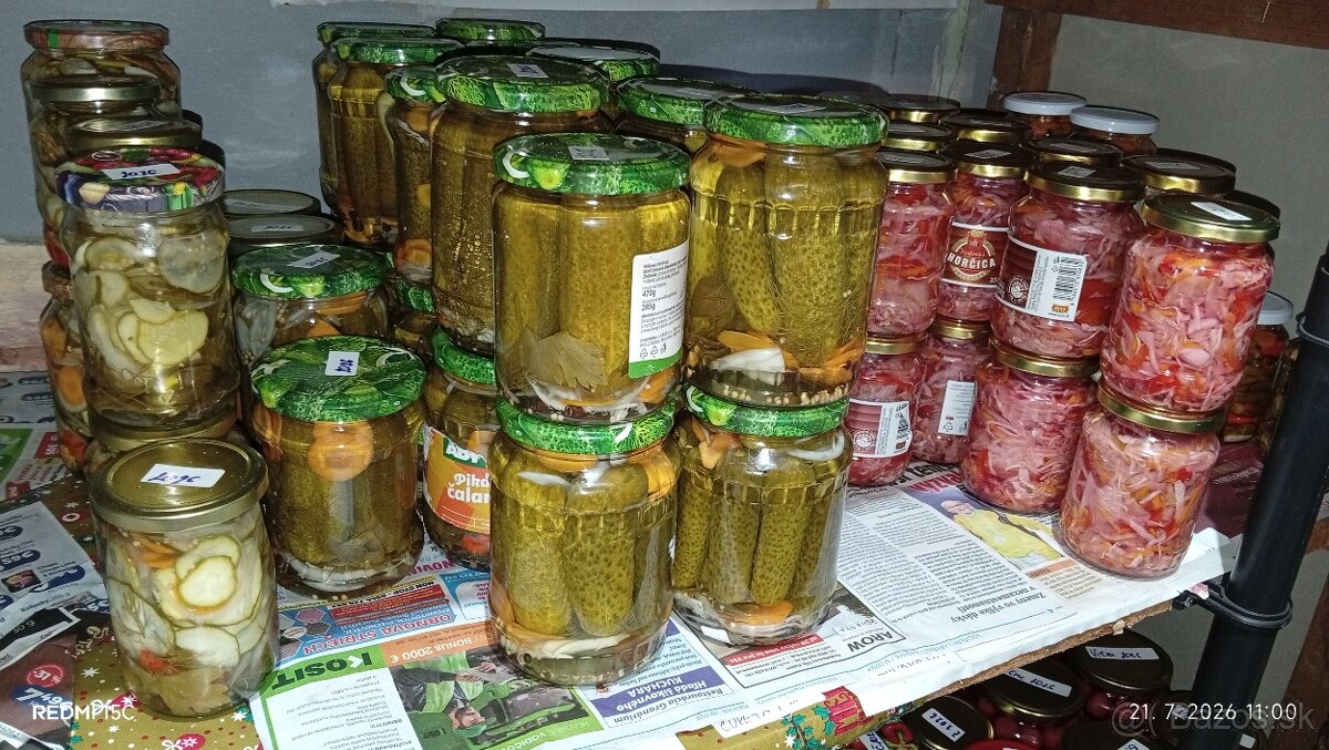 Chilli - 7