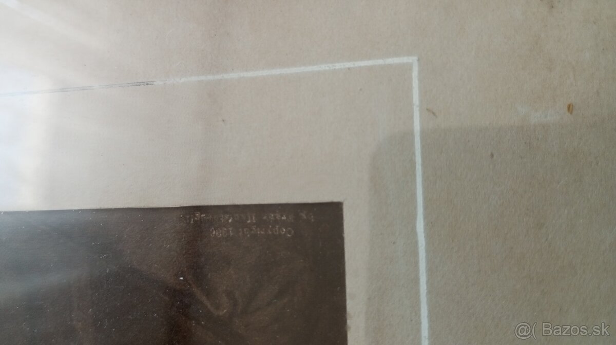 Litografia H.Hanfstaengla. - 7