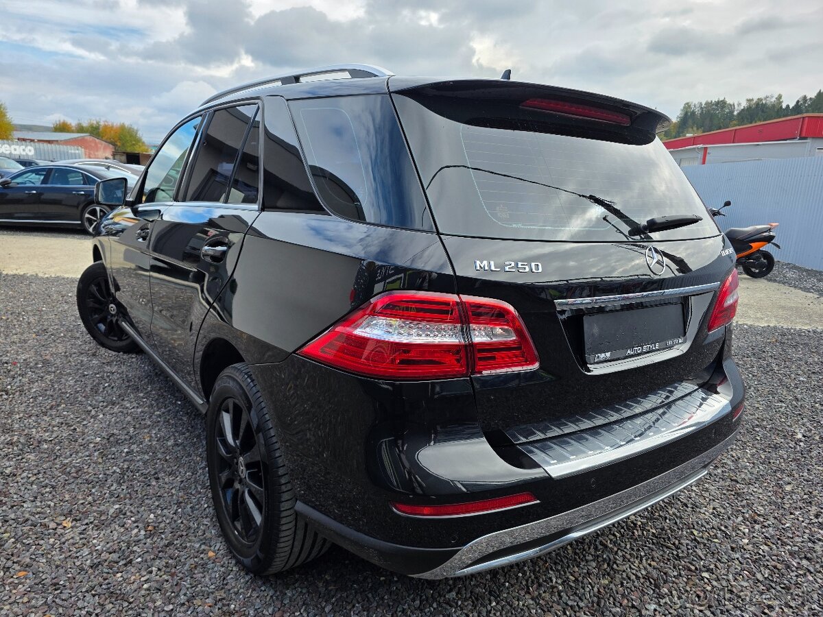 Mercedes-Benz ML 250 BlueTEC 4MATIC A/T - 7