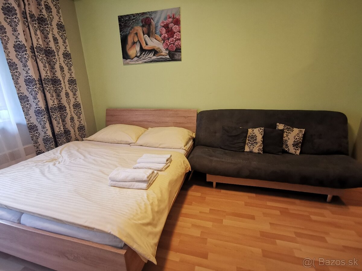 Priestranný 1-izbový apartmán s balkónom - 7