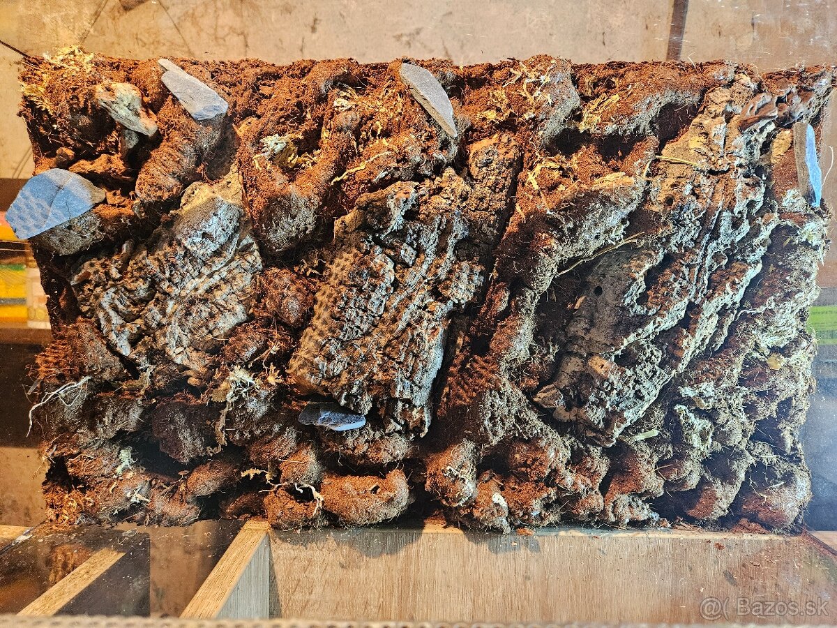 Terárium 60x30x30 - 7