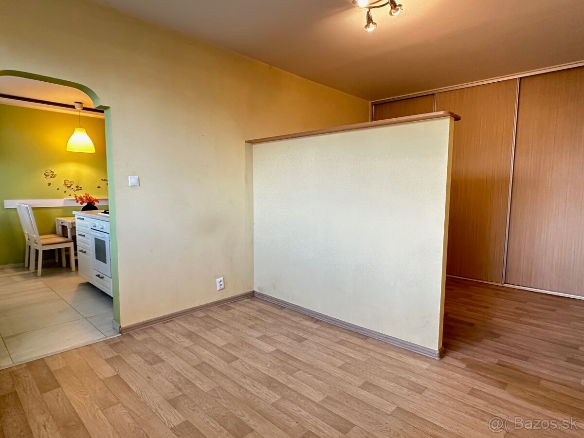 1 izbový veľký byt s loggiou, 45 m2 na prenájom - 7