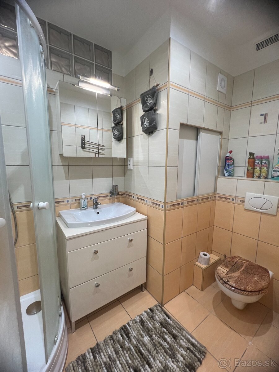 PRENÁJOM prerobeného a zariadeného 2 izbového bytu. - 7