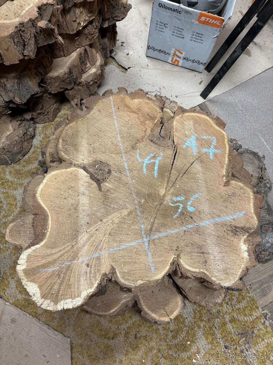 Vysušené agátové koláče / priečne rezy, agát - 7