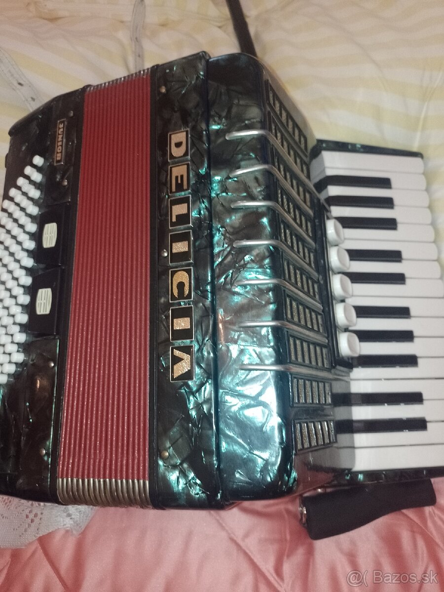 Akordeón Harmonika Saxafon - 7