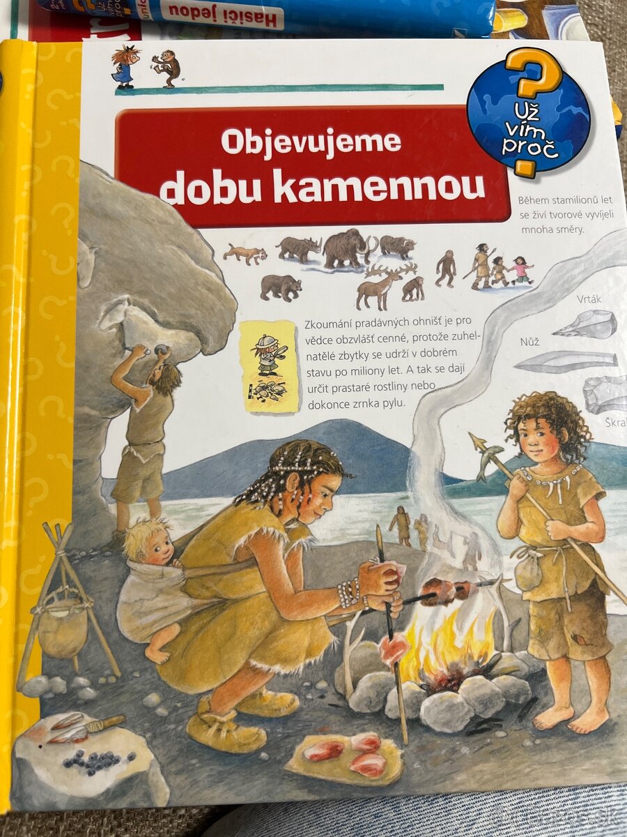 Séria Už viem prečo/Okienkové knižky - 7