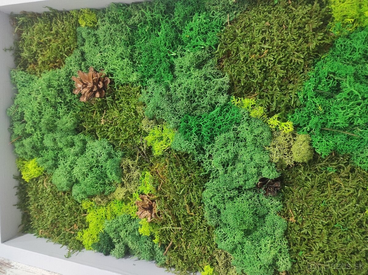 Predám obraz z machu: Obdĺžnik šedý L (60 x 35 cm) - 7