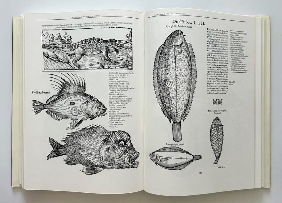 Nádherná séria encyklopédií - 7