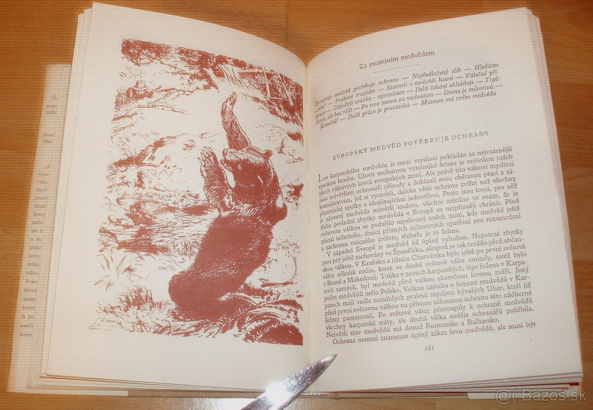 Lovy v Karpatech - 7