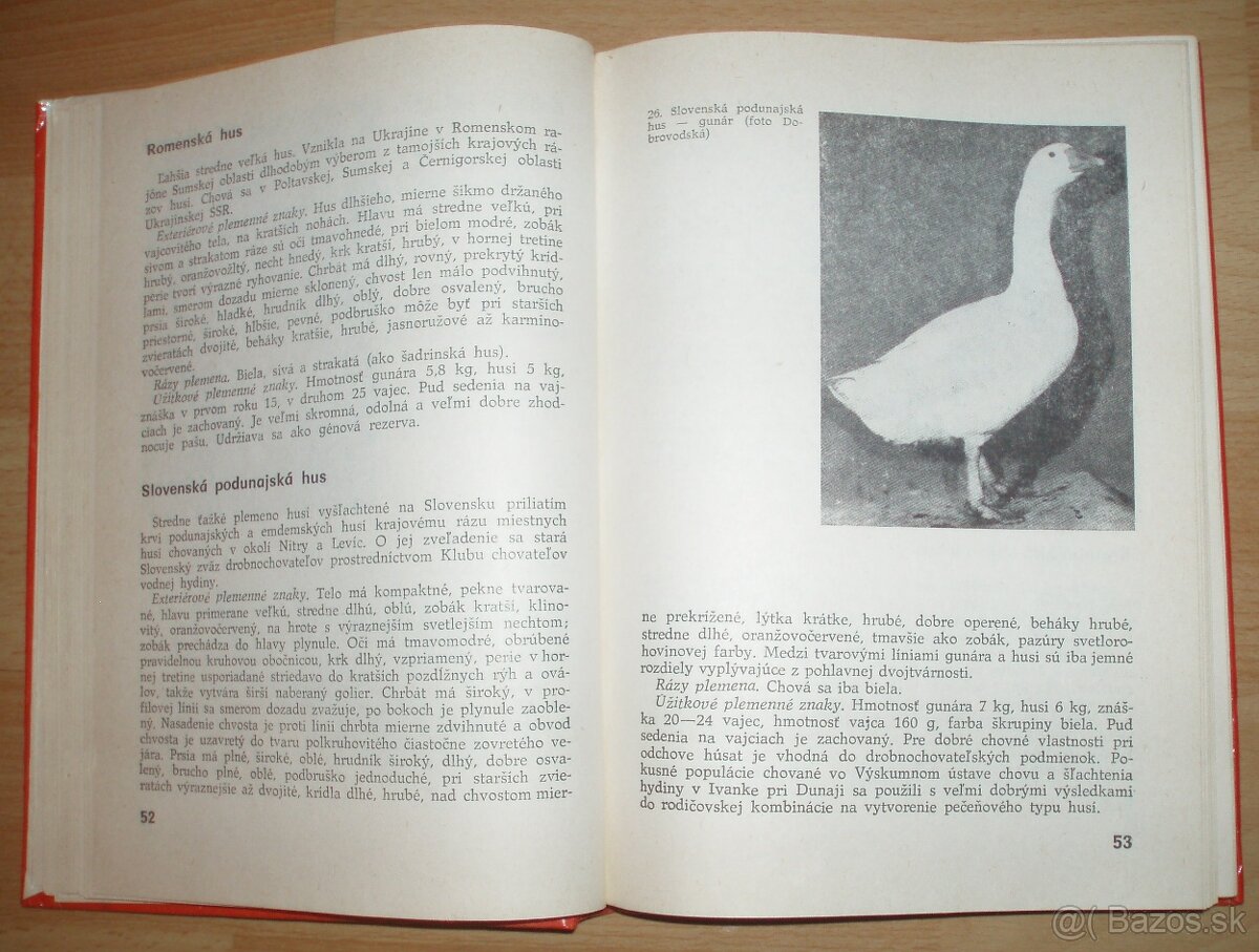 Najvýkonnejšie plemená a typy hydiny - 7