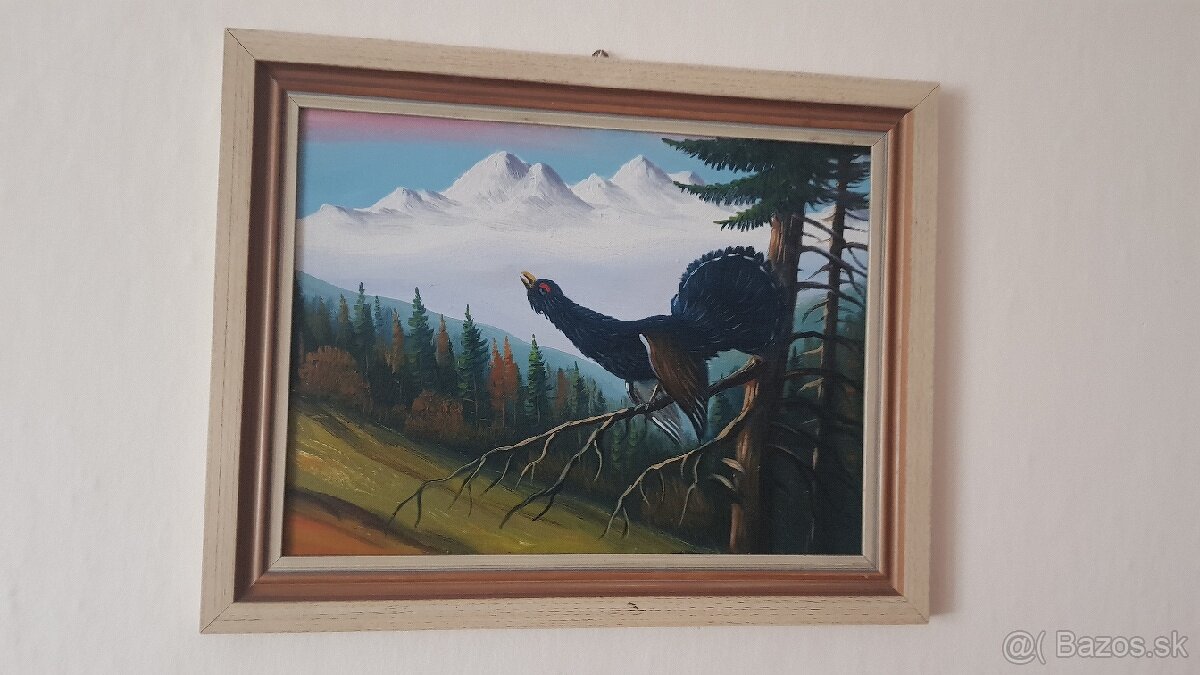 Stare casopisy, knihy a obrazy - 7