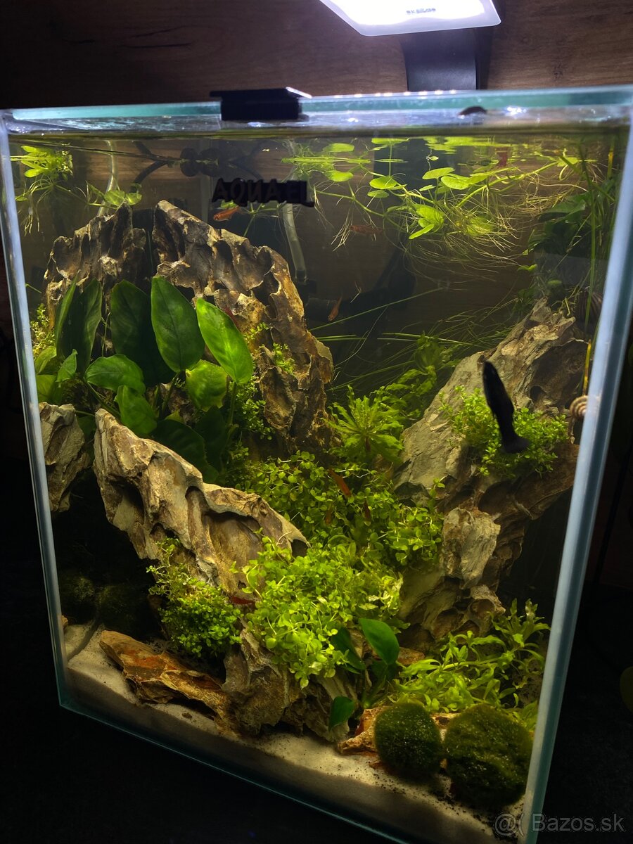Zabehnuté nano akvárium - 7