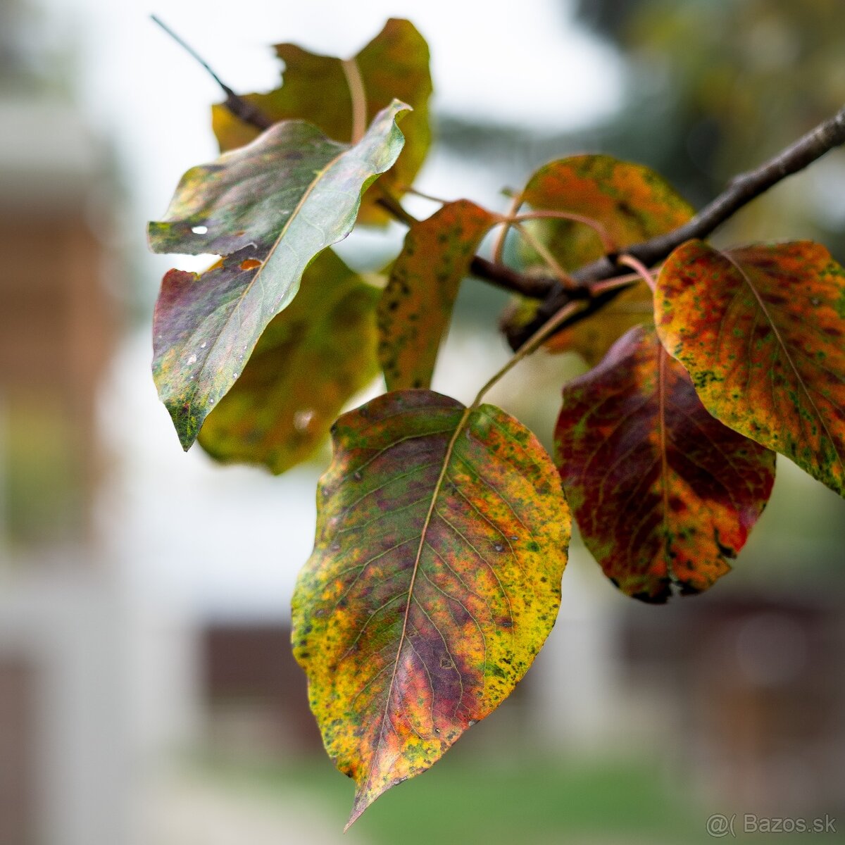 PREDÁM OLYMPUS OM-D E-M10 - 7