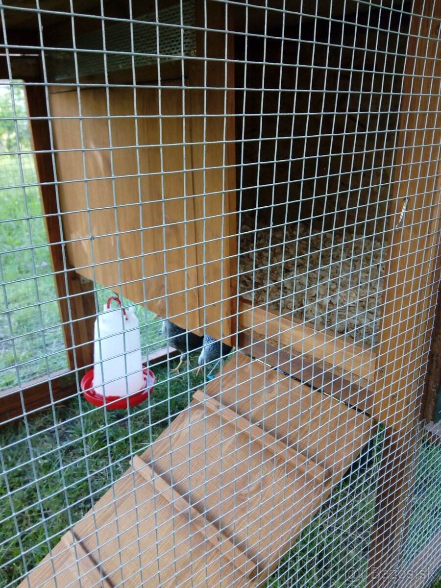 Prenosná voliéra s kurínom - 7