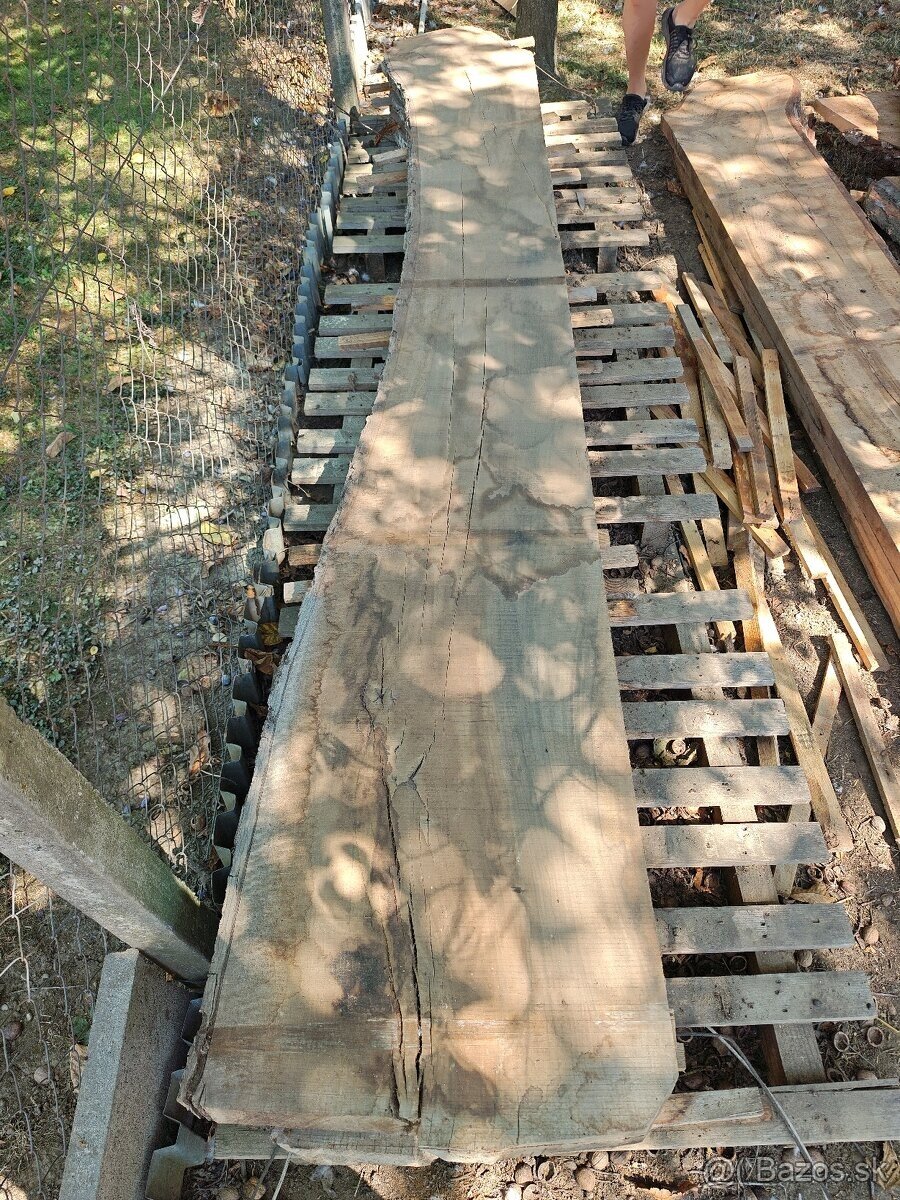 Orechove fosne - 7