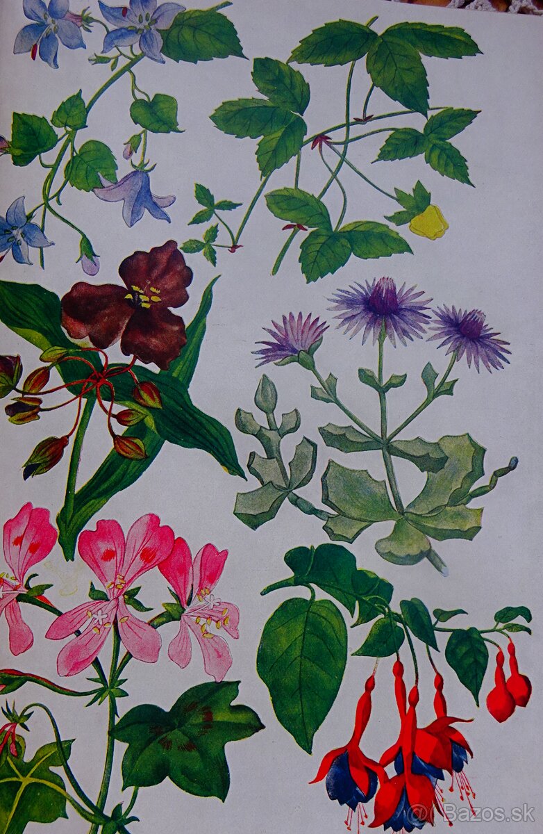 Praktická hospodynka I.-II., vydaná v roku 1927 - 7