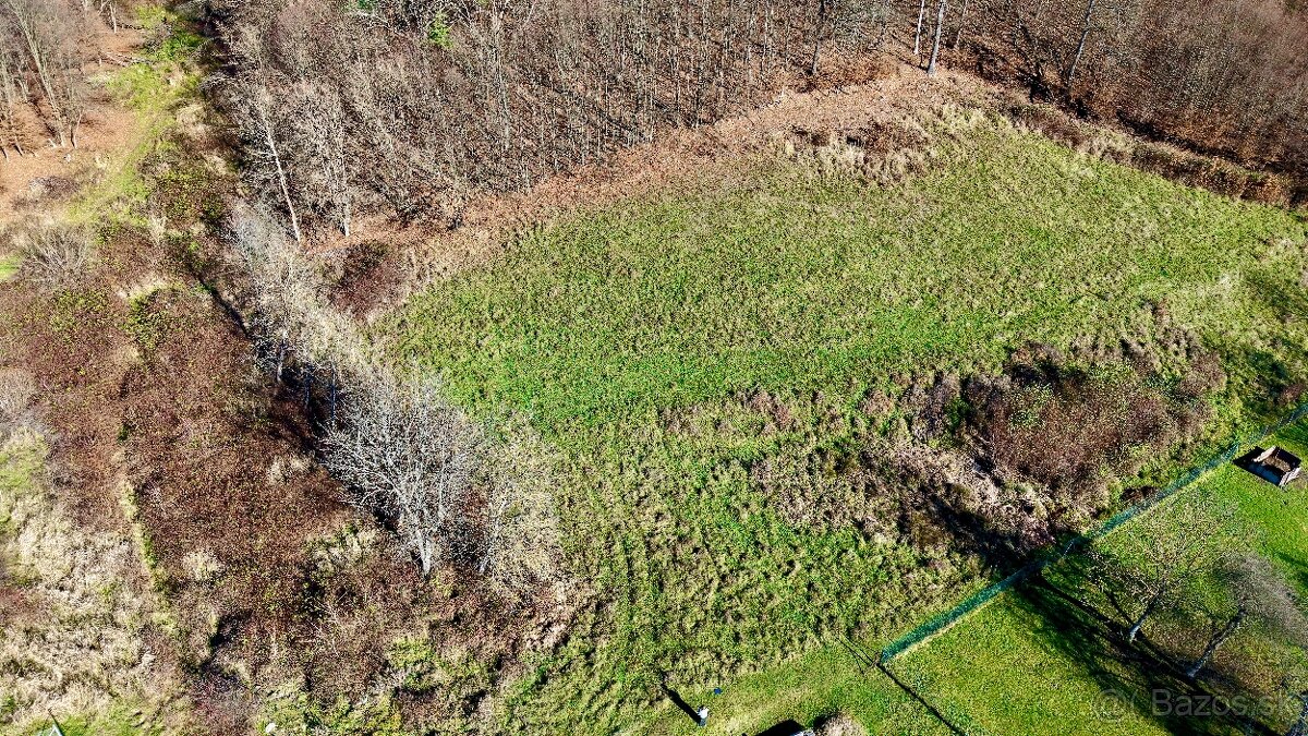 PREDAJ- POZEMOK PRI LESE - VOZNICA - 7