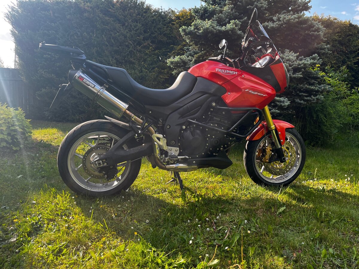 Triumph tiger 1050 - 7