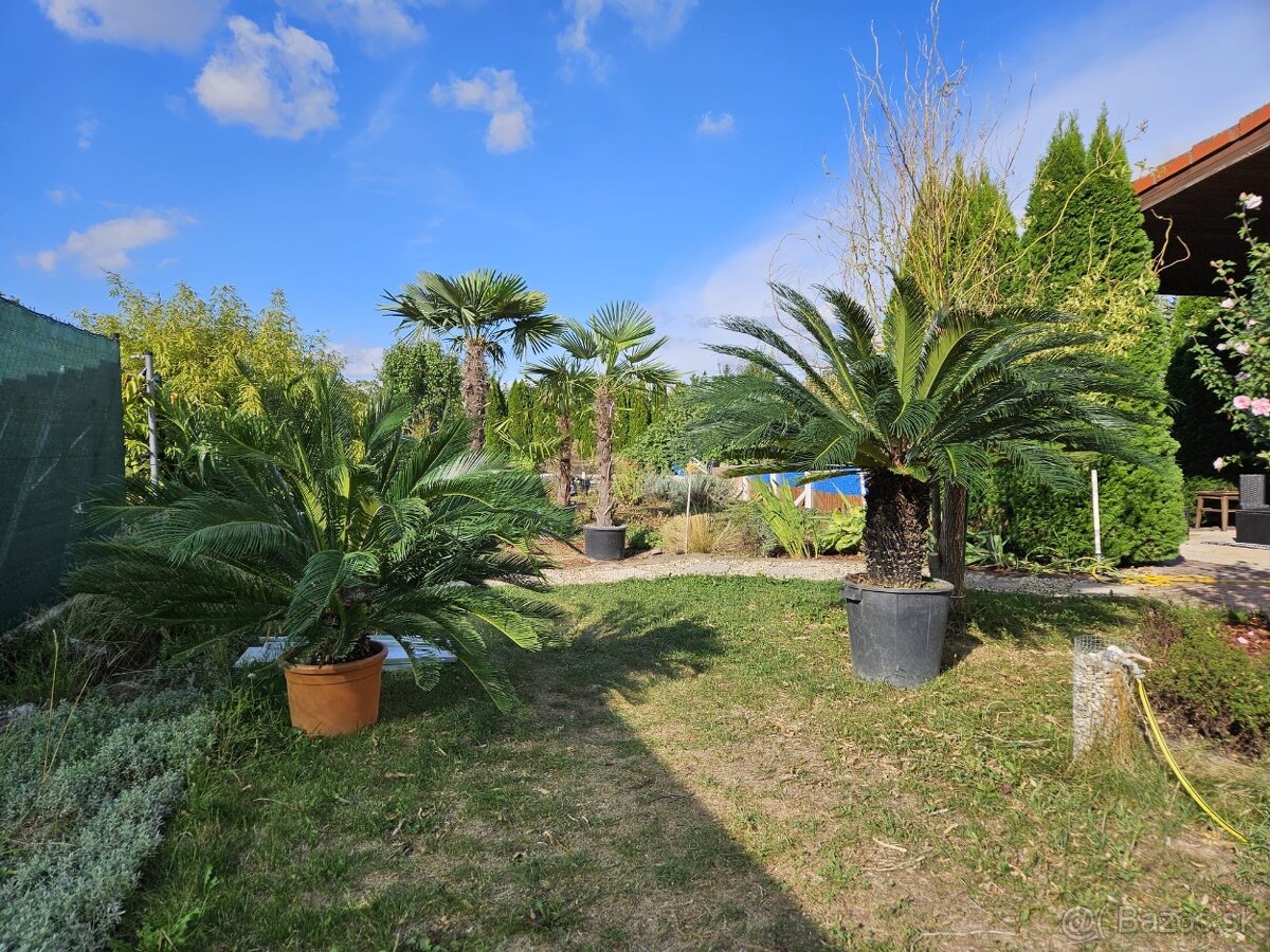 Rodinný dom s bazénom a hosťovským domom - 7