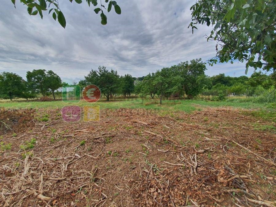 Predaj pozemky 7998 m2, Nitra- Čermáň, šírka 37m, všetky IS - 7