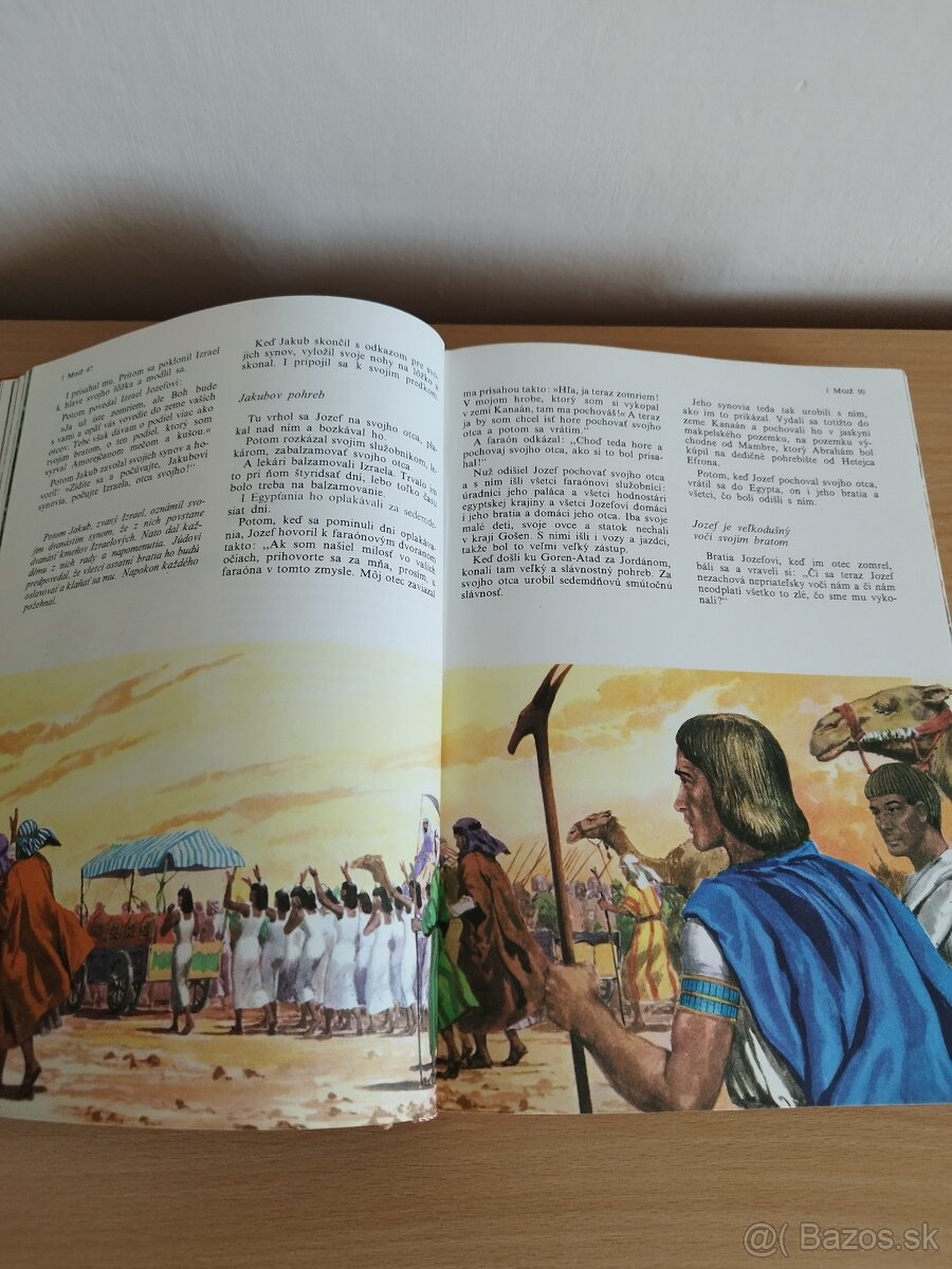 Ilustrovana Biblia - 7