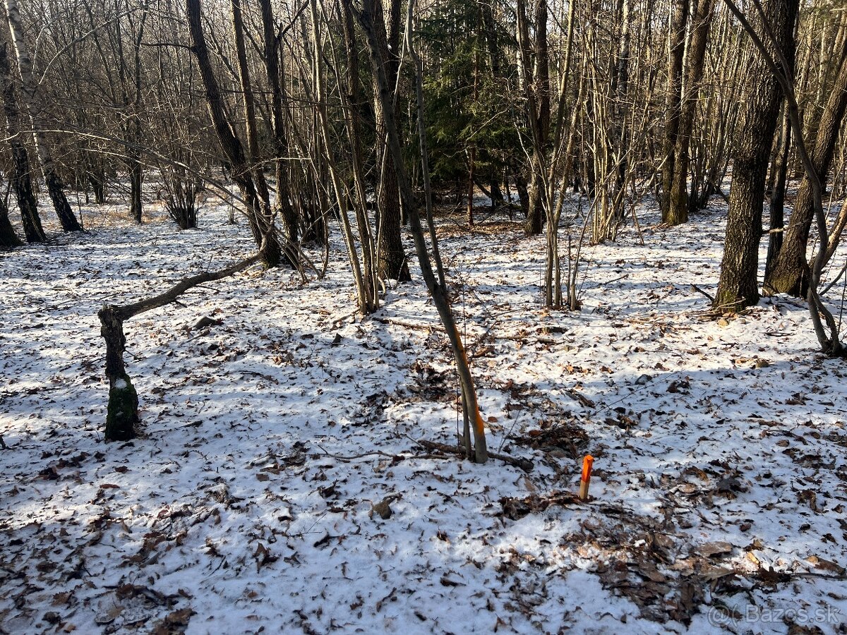 PREDAJ lesný pozemok, Chotár, Nová Baňa, 10 842 m2 - 7