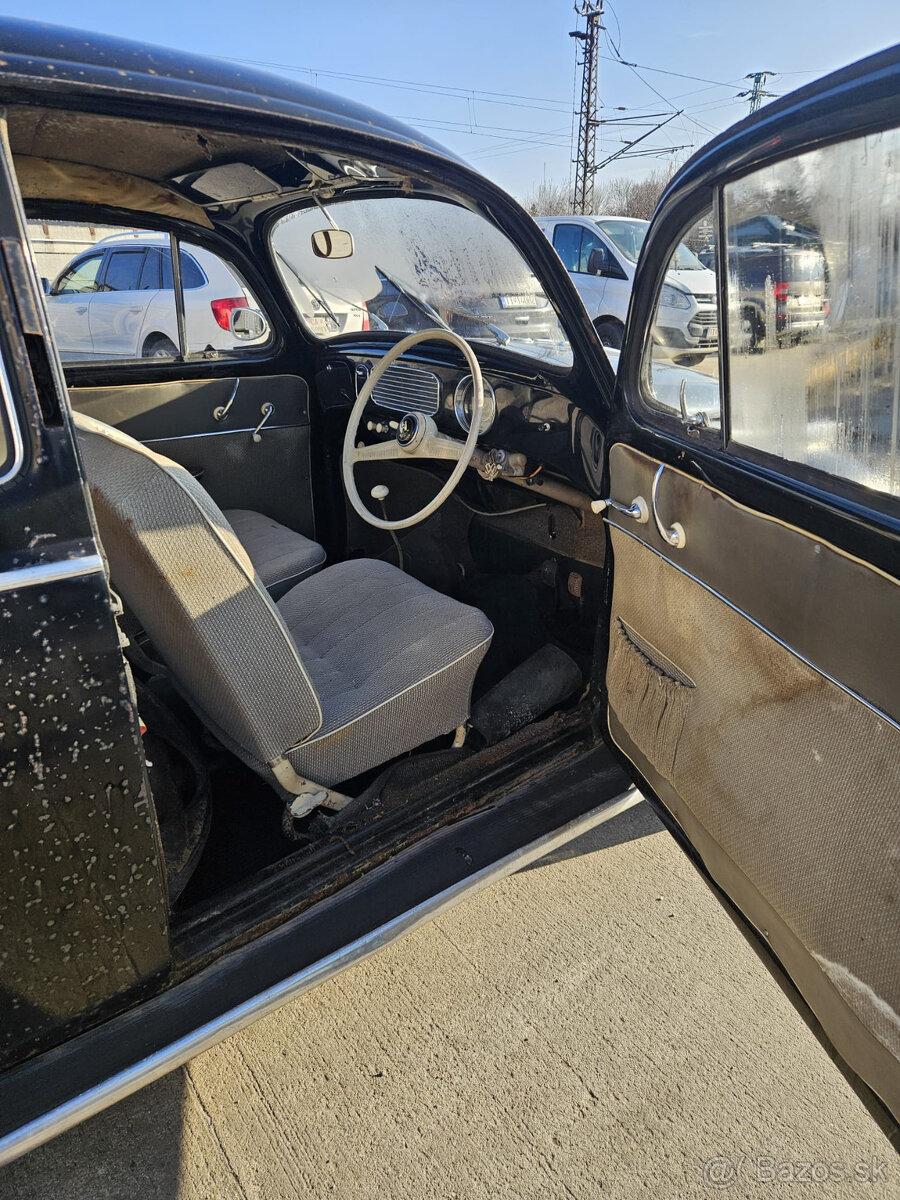 Volkswagen chrobak OVAL 1956 s TP - 7