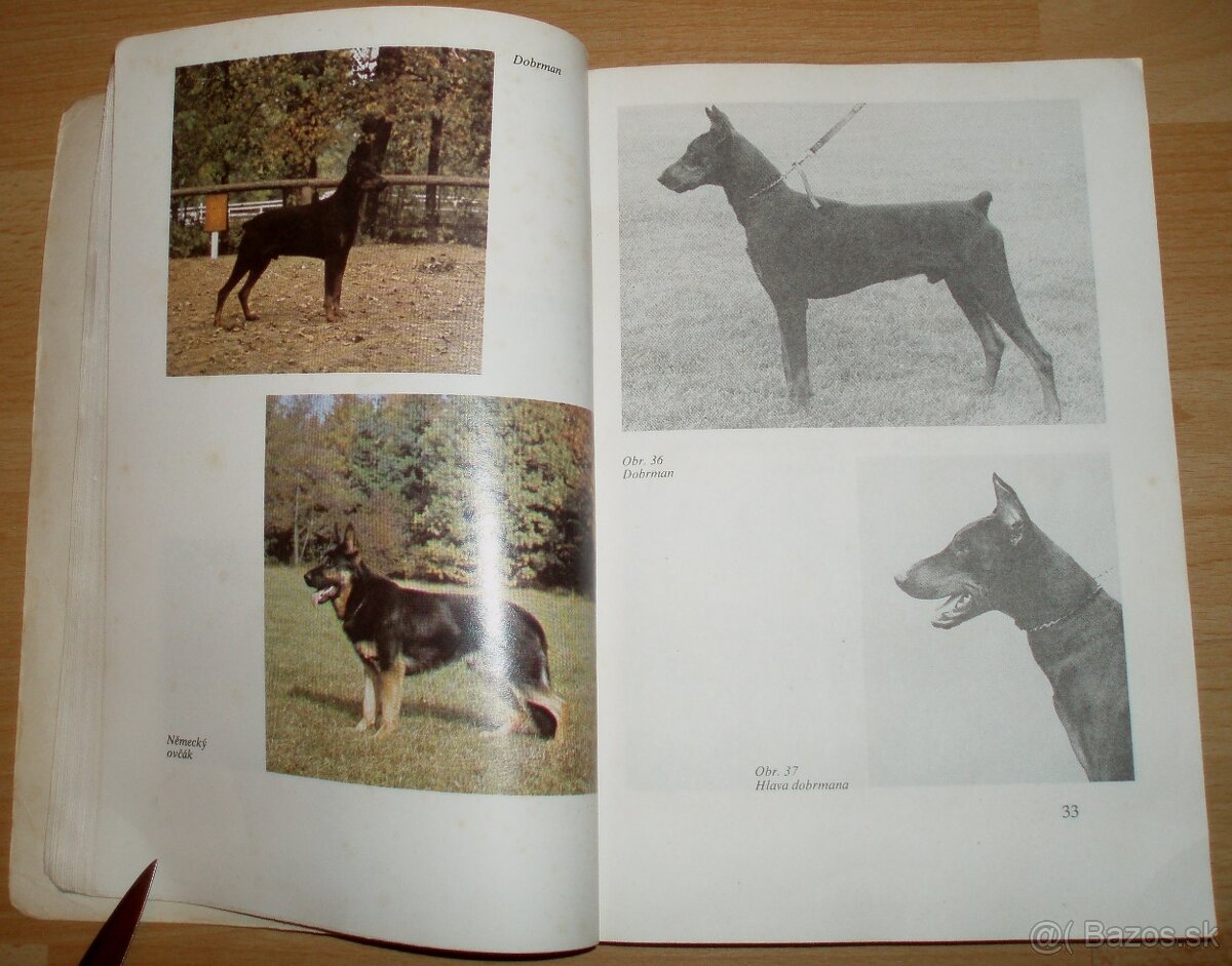 Pes a jeho výcvik - 7