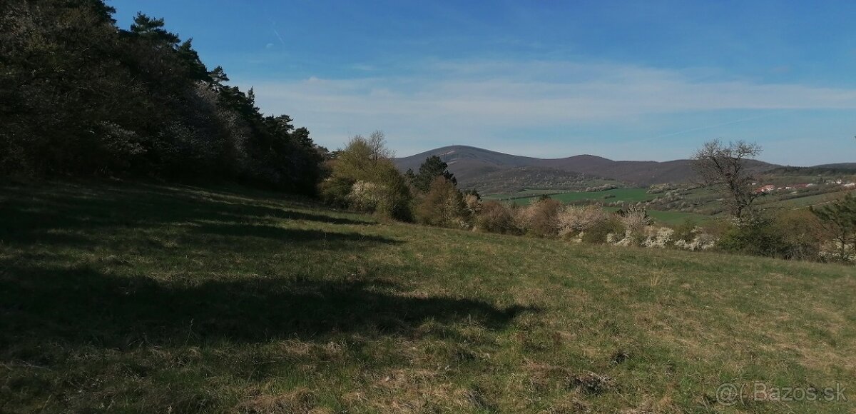 Farmárčenie - Horné Bzince - 7