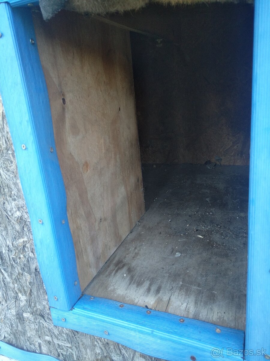 Psia búda - 7
