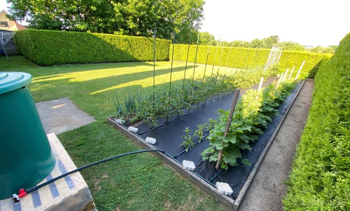 Krásny dom v Tornali napredaj - 7